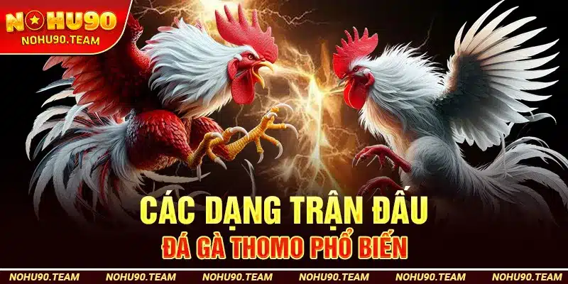 Các Dạng Trận Đấu Đá Gà Thomo Phổ Biến Tại Nohu90