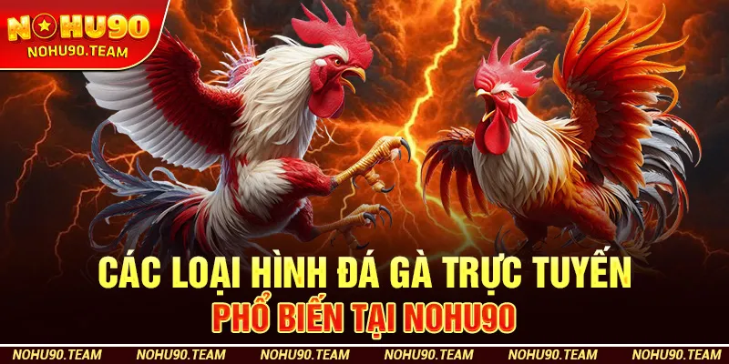Các Loại Hình Đá Gà Trực Tuyến Phổ Biến Tại Nohu90