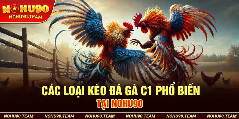 Các Loại Kèo Đá Gà C1 Phổ Biến Tại Nohu90