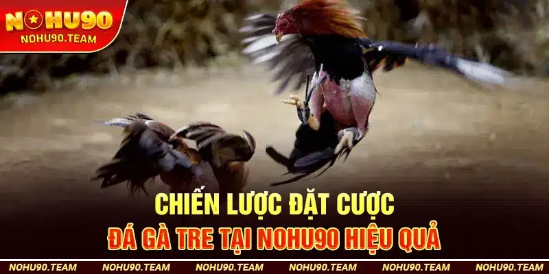 Chiến Lược Đặt Cược Đá Gà Tre Tại Nohu90 Hiệu Quả