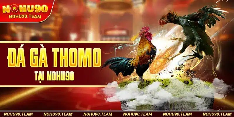 Đá Gà Thomo Tại Nohu90