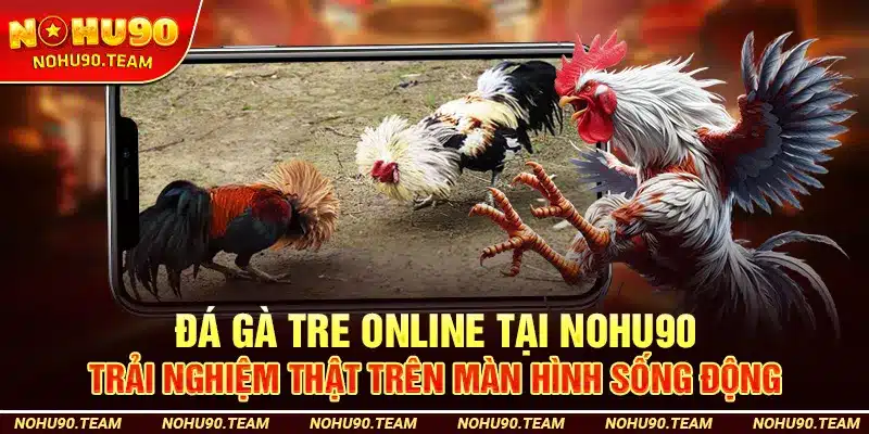 Đá Gà Tre Online Tại Nohu90 – Trải Nghiệm Thật Trên Màn Hình Sống Động