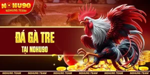Đá Gà Tre Tại Nohu90