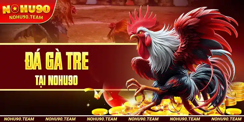 Đá Gà Tre Tại Nohu90