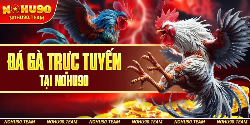 Đá Gà Trực Tuyến Tại Nohu90