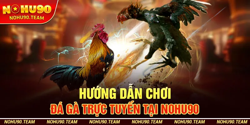 Hướng Dẫn Chơi Đá Gà Trực Tuyến Tại Nohu90