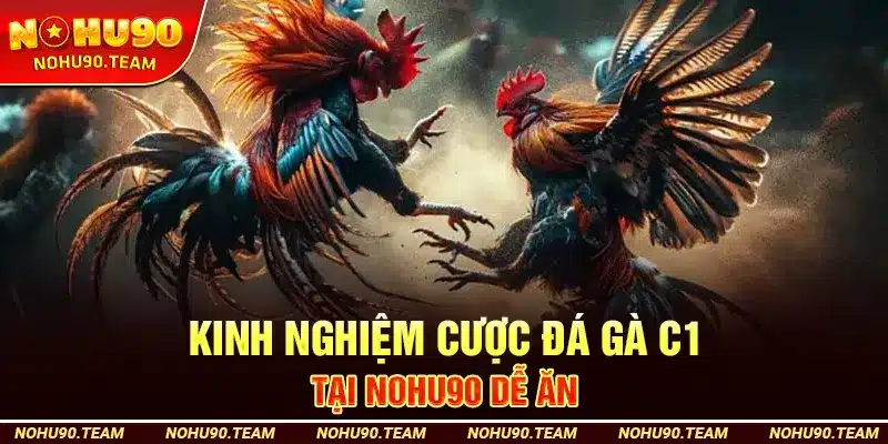 Kinh Nghiệm Cược Đá Gà C1 Tại Nohu90 Dễ Ăn
