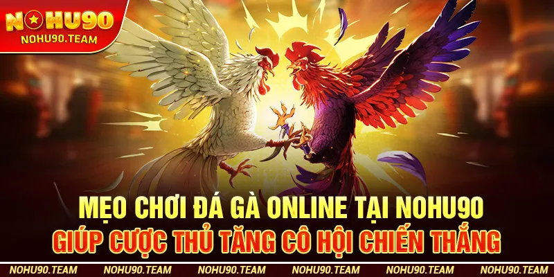 Mẹo Chơi Đá Gà Online Tại Nohu90 Giúp Cược Thủ Tăng Cô Hội Chiến Thắng