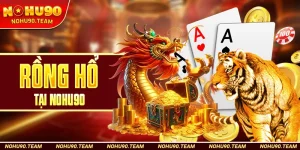 Rồng Hổ Tại Nohu90