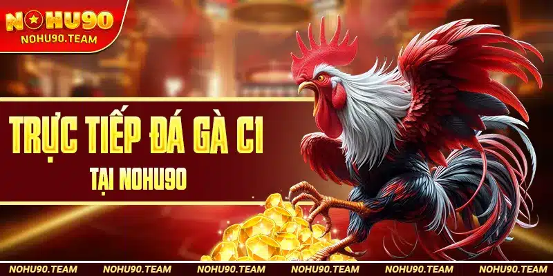 Trực Tiếp Đá Gà C1 Tại Nohu90