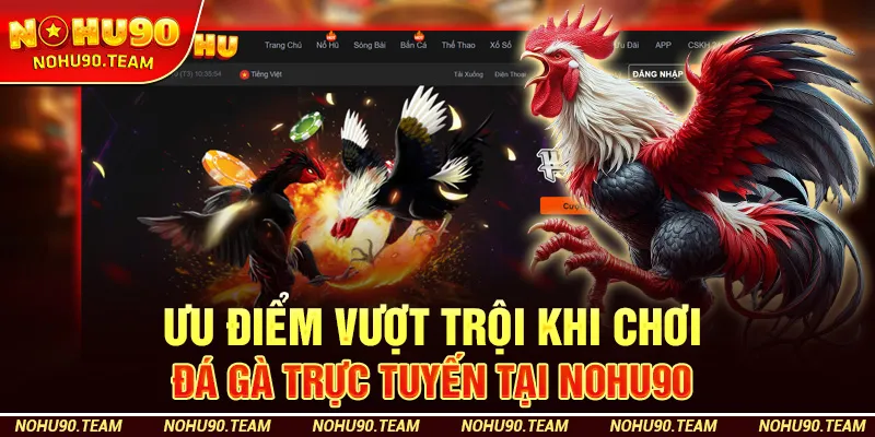 Ưu Điểm Vượt Trội Khi Chơi Đá Gà Trực Tuyến Tại Nohu90