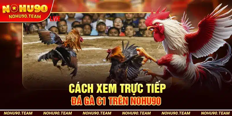 Cách Xem Trực Tiếp Đá Gà C1 Trên Nohu90